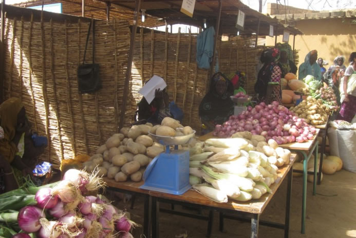 Les Journées du Maraicher du Sahel, une vitrine pour la valorisation de la production maraichère du Sahel