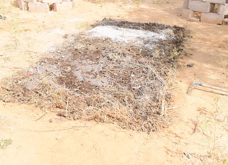 Focus sur la production du compost 