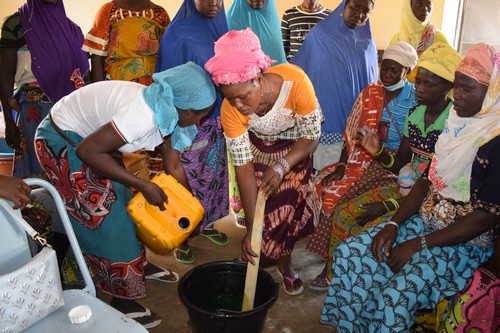  Renforcement des capacités des femmes PDIs pour améliorer leurs conditions de vie