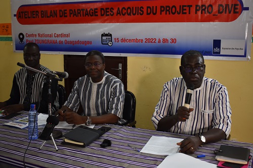 Fin du projet Pro_DIVE, l’heure du bilan